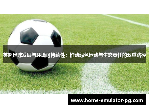 英超足球发展与环境可持续性:推动绿色运动与生态责任的双重路径 英超足球发展与环境可持续性:推动绿色运动与生态责任的双重路径