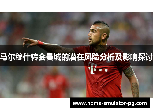 马尔穆什转会曼城的潜在风险分析及影响探讨
