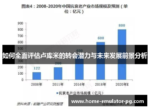 如何全面评估卢库米的转会潜力与未来发展前景分析