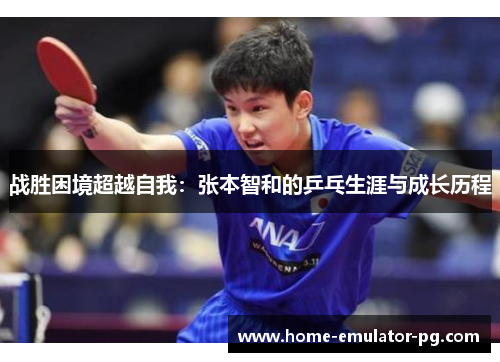 战胜困境超越自我：张本智和的乒乓生涯与成长历程