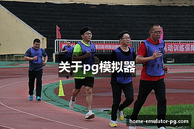 关于pg模拟器